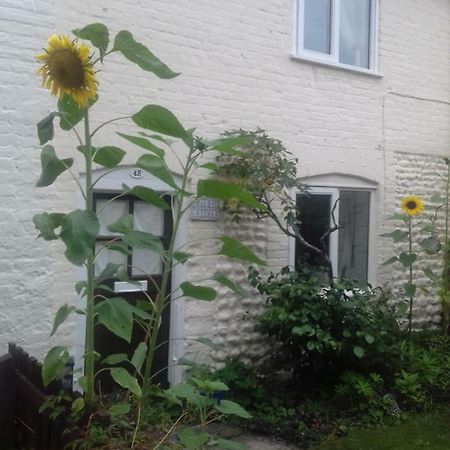 Mauds Cottage 1 West Raynham ภายนอก รูปภาพ